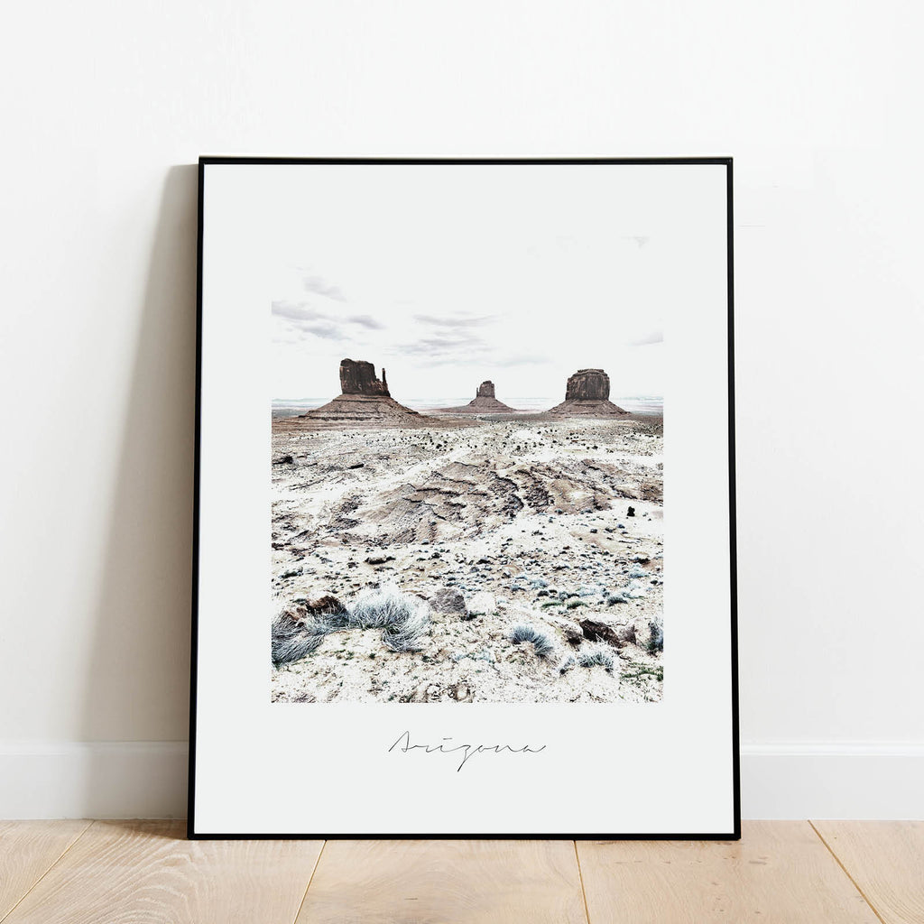 Arizona State Nature Print, a vintage style state poster by Culver and Cambridge