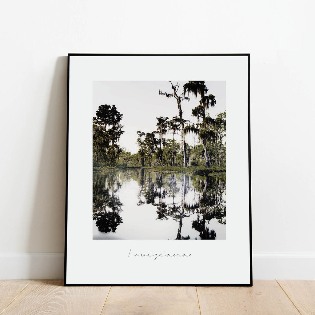 Louisiana State Nature Print - Modern Prints and Gifts by Culver and Cambridge