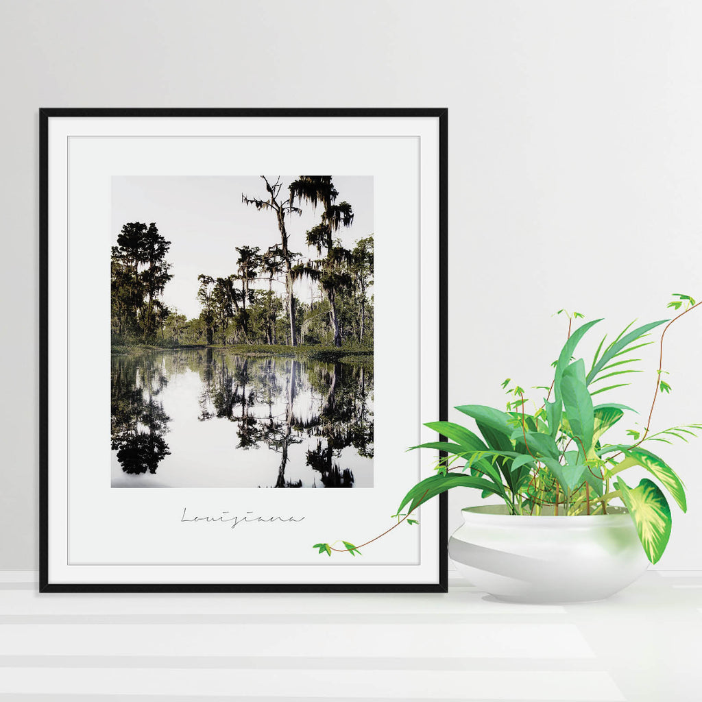 Louisiana State Nature Print - Modern Prints and Gifts by Culver and Cambridge