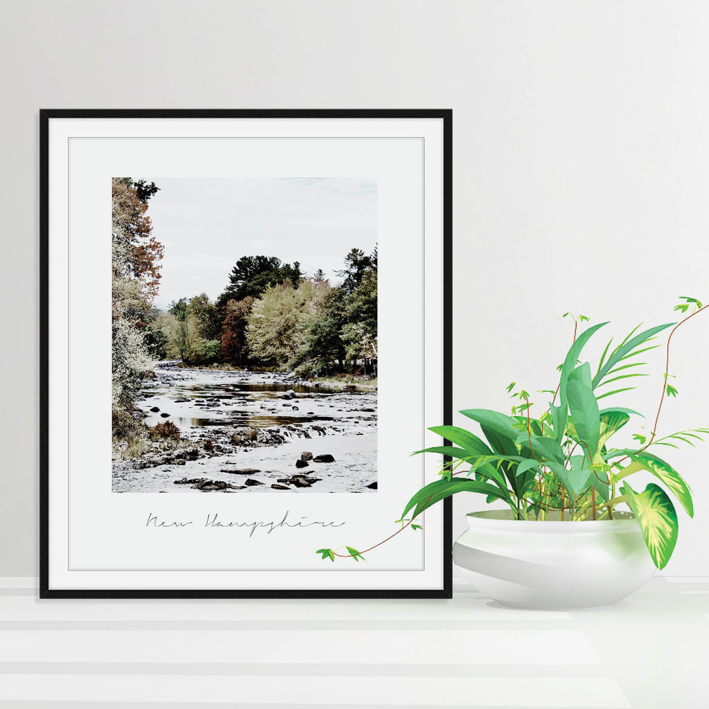 New Hampshire State Nature Print, vintage-style State Poster by Culver and Cambridge