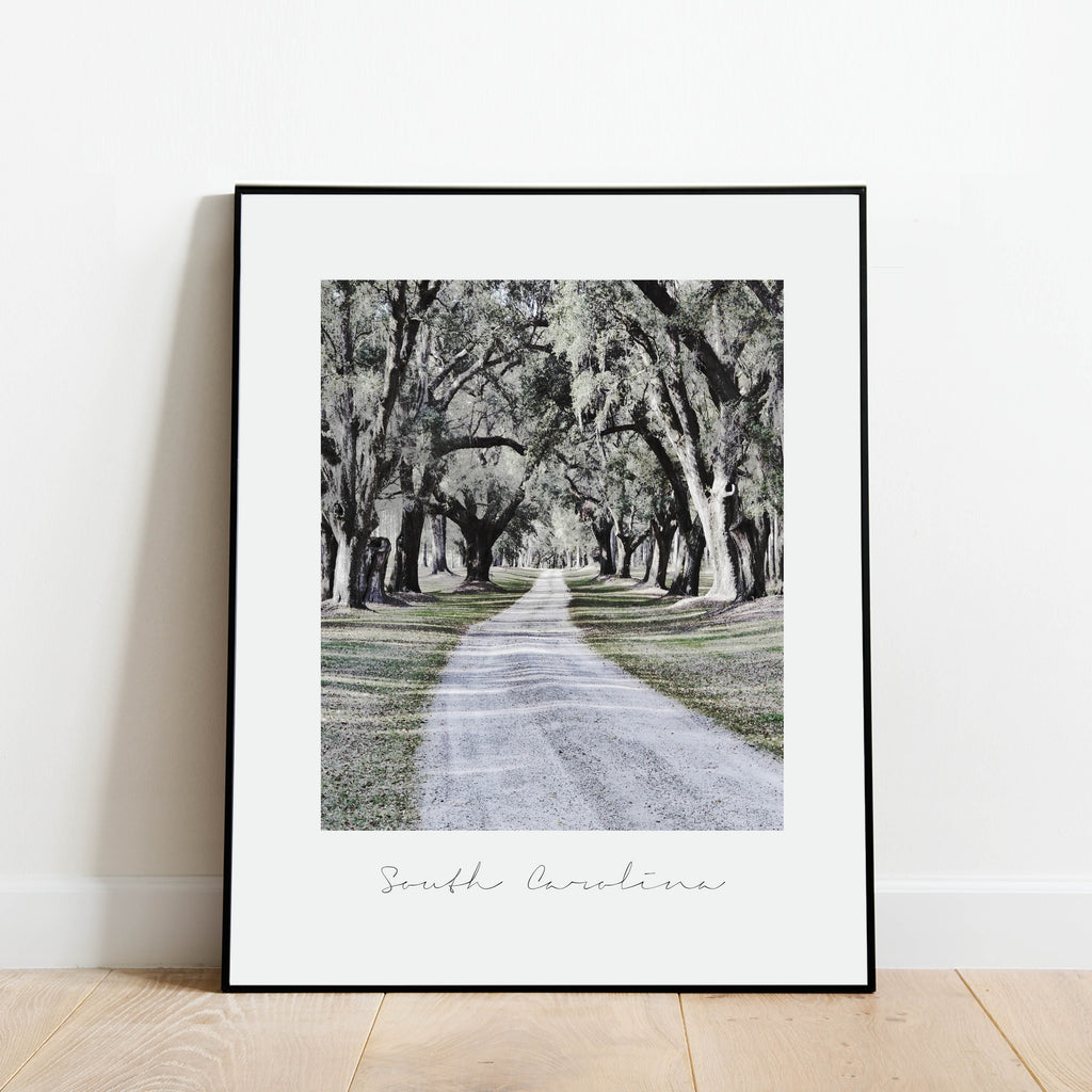 South Carolina State Nature Print, a vintage-style state poster by Culver and Cambridge
