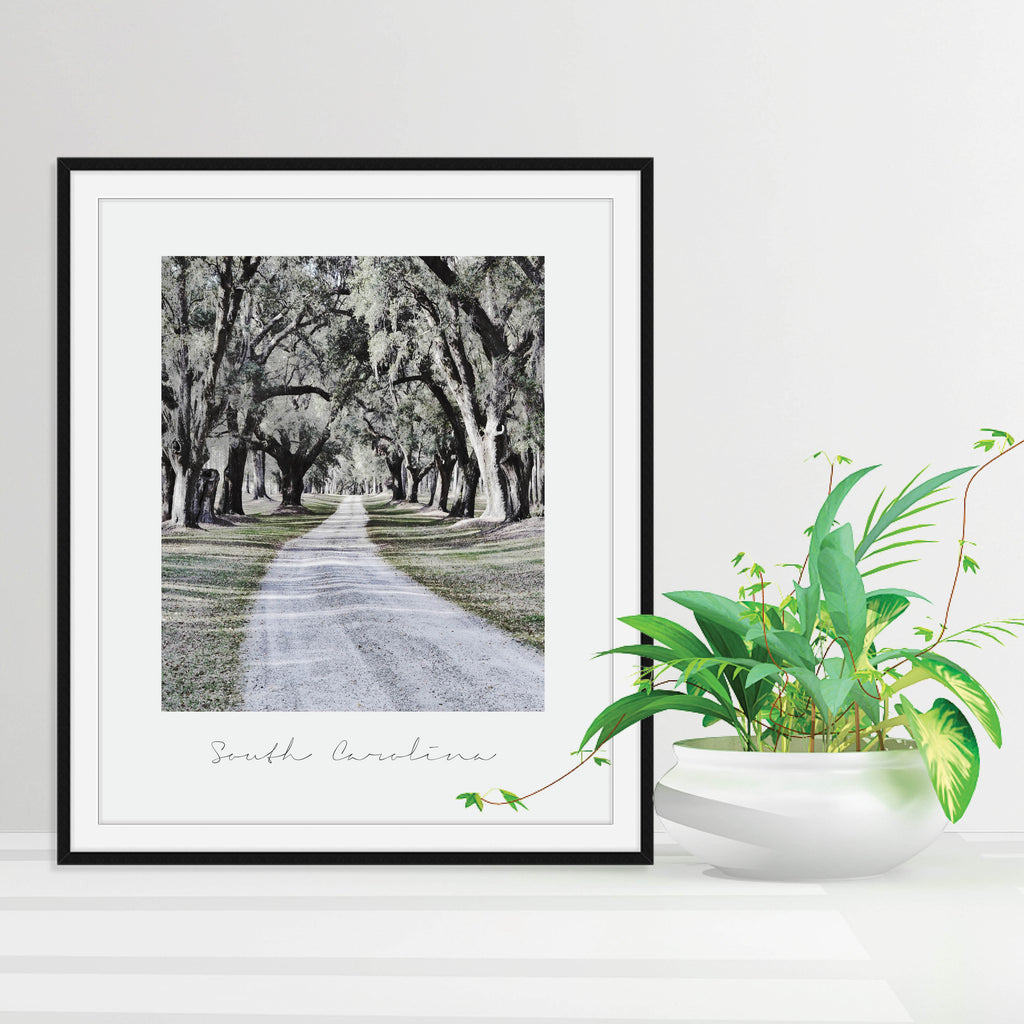 South Carolina State Nature Print, a vintage-style state poster by Culver and Cambridge