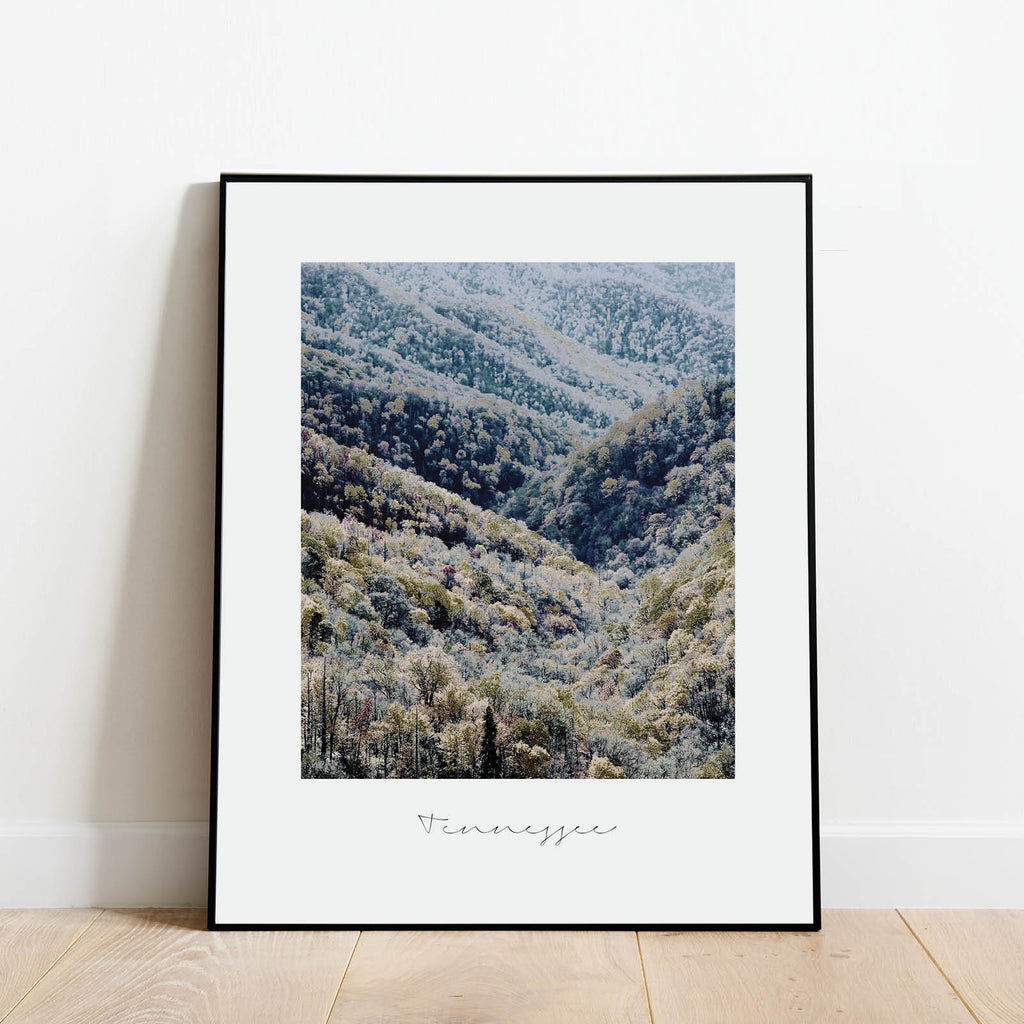 Tennesee State Nature Print, a vintage-style state print by Culver and Cambridge
