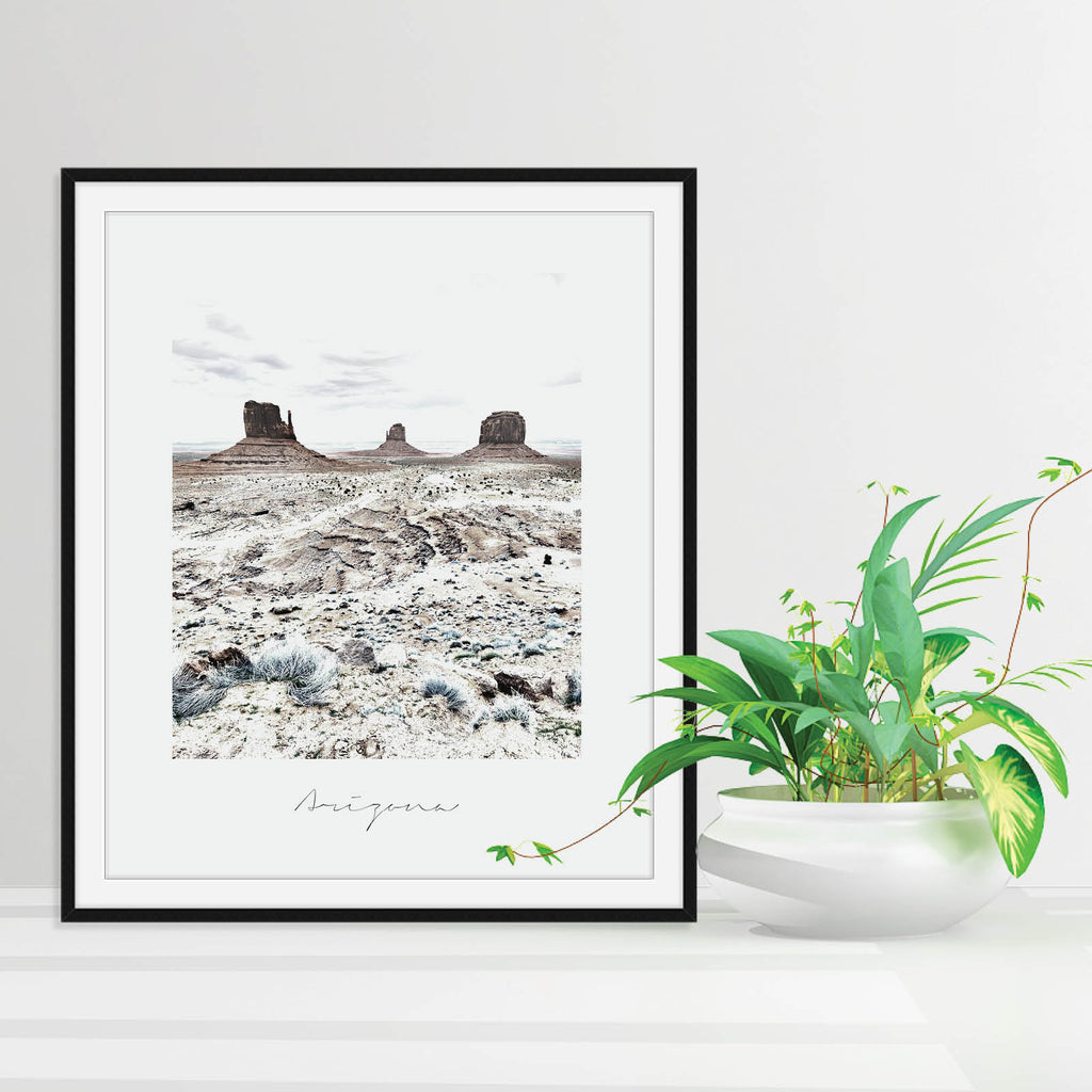 Arizona State Nature Print, a vintage style state poster by Culver and Cambridge