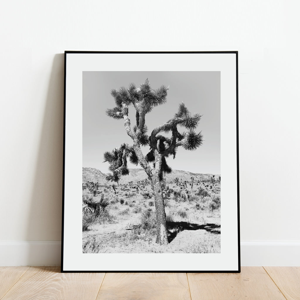 Joshua Tree Print: a Black and White Modern Art Print by Culver and Cambridge