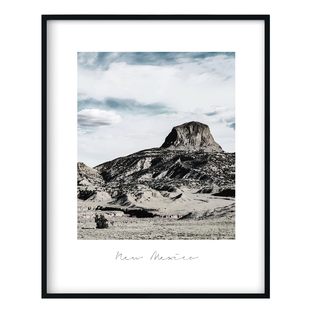 New Mexico State Nature Print