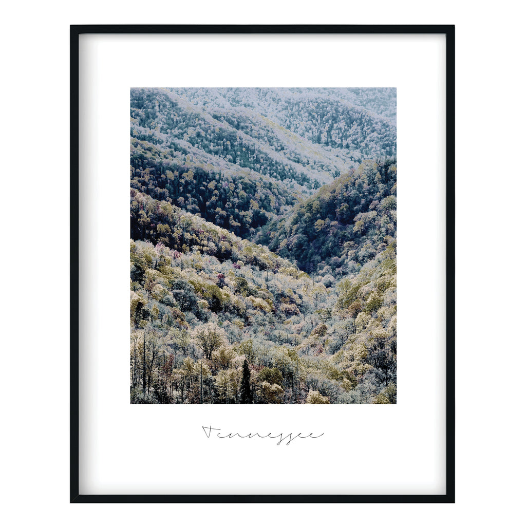 Tennessee State Nature Print