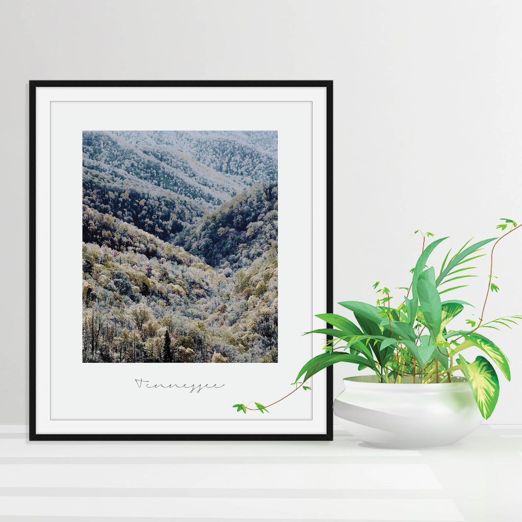 Tennesee State Nature Print, a vintage-style state print by Culver and Cambridge